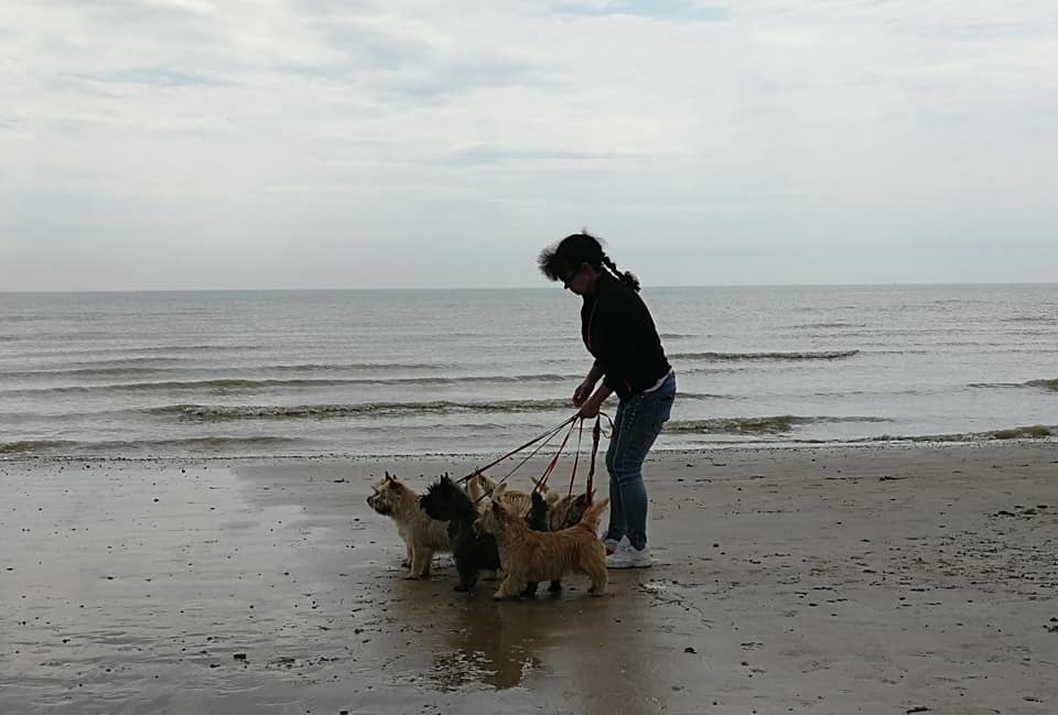Folkestones